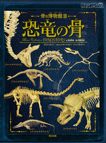 「骨の博物館」シリーズ第3弾「 恐竜の骨」