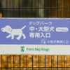 ドッグランは、小型犬用、中・大型犬用に分かれている