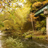 JR山田線は閉伊川を幾度となく橋でまたぐ。独特の景観である。