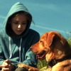 『ホワイト・ゴッド　少女と犬の狂詩曲』　2014（C）Proton Cinema, Pola Pandora, Chimney