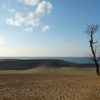 冬の鳥取砂丘遠景。