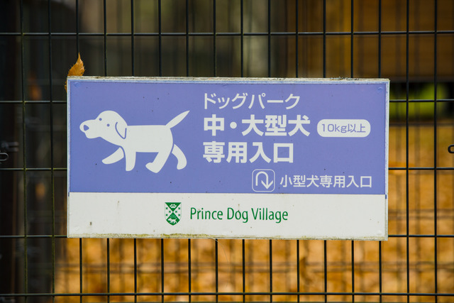 ドッグランは、小型犬用、中・大型犬用に分かれている