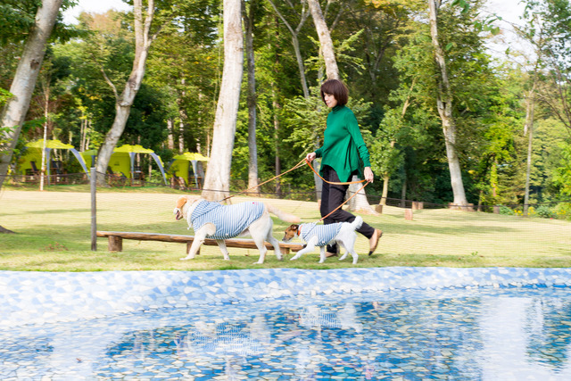 「じゃぶじゃぶ池」は、これからの季節はさすがに犬たちも飛び込むことをためらいそうだけど、記念写真を撮るにはうってつけの場所だ。