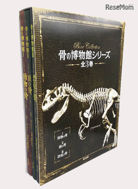 「骨の博物館」シリーズ全3巻セットも発売
