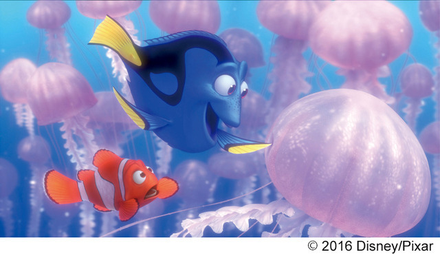 『ファインディング・ニモ』MovieNEX　（c）2016 Disney/Pixar