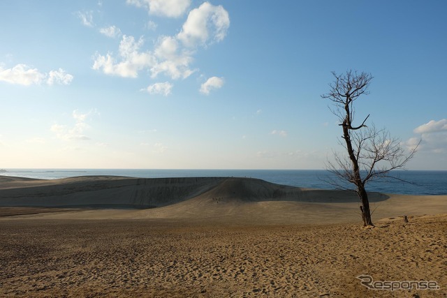 冬の鳥取砂丘遠景。