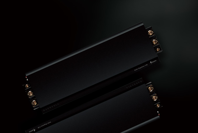 □BEWITH Accurate A-100A レギュレーター 安定化電源 ビーウィズ