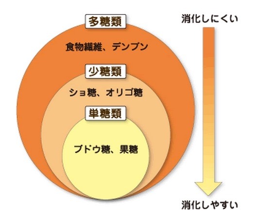 受験勉強と糖分 バナナに含まれる多様な糖分でエネルギーを長時間持続 Push On Mycar Life