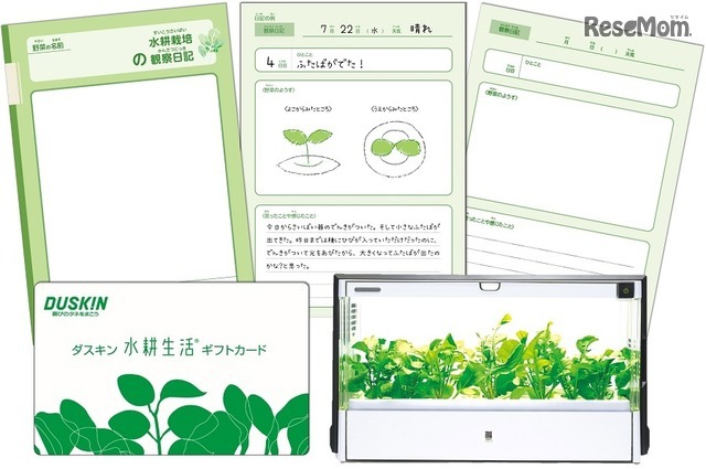 夏休み16 自由研究に活用 観察日記付 水耕生活ギフトカード Push On Mycar Life