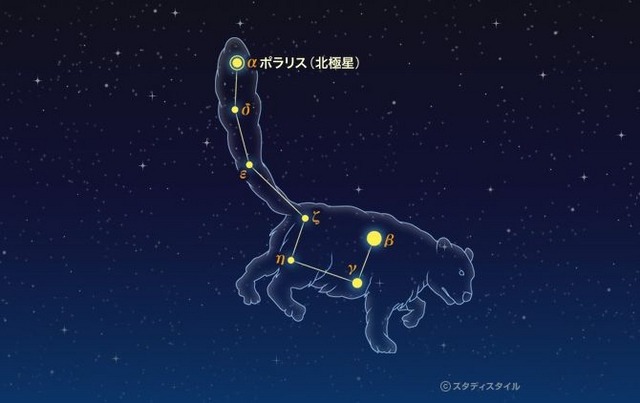 こぐま座（こぐま座流星群 2015）　（参考：スタディスタイル学習館）