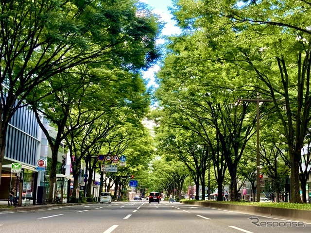 走りも快適性も守る！ 車高調、オイル、電装系まで“お手入れ完全マニュアル”～カスタムHOW TO～