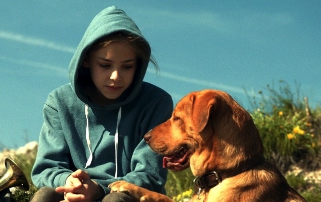 『ホワイト・ゴッド　少女と犬の狂詩曲』　2014（C）Proton Cinema, Pola Pandora, Chimney
