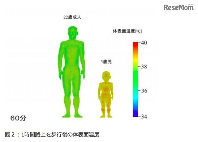 60分間路上を歩行後の体表面温度（成人男性と幼児）