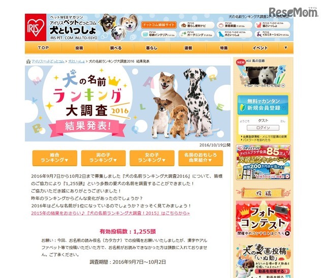 犬の名前ランキング