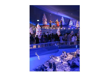 水族館でクリスマス！首都圏水族館イベントまとめ…ペンギン演奏会ほか 画像