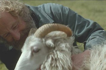 【シネマVOYAGE】アイスランドの美しい自然で描かれる兄弟の絆『ひつじ村の兄弟』 画像