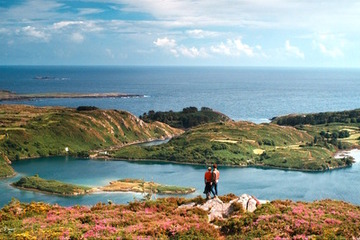 【特別映像】緑豊かなアイルランドの大自然を堪能!『フラワーショウ!』 画像