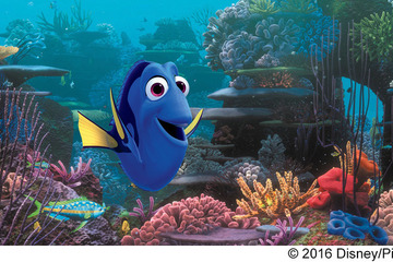 『ファインディング・ドリー』MovieNEX発売決定！お馴染みの“隠れキャラ”発見!? 画像