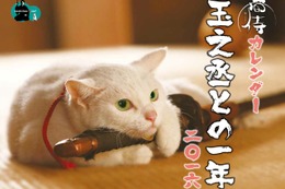 『猫侍』白い美猫・玉之丞の萌えまくる初カレンダー発売決定！ 画像