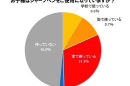 「小学生は鉛筆」イメージはもう古い？ 約半数がシャープペンを使用 画像