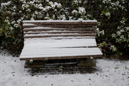 首都圏で積雪、学生の足を直撃…臨時休講で「詫び単位」や交通費要求 画像