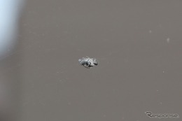 【必見】DIYでフロントガラスの小さな傷を補修する方法とコツ～Weeklyメンテナンス～ 画像