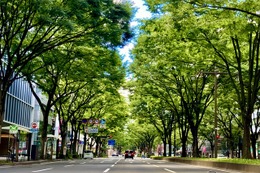 走りも快適性も守る！ 車高調、オイル、電装系まで“お手入れ完全マニュアル”～カスタムHOW TO～