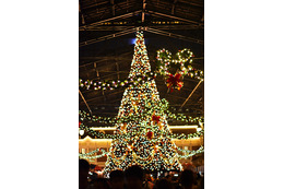 【ディズニー】パークのクリスマスグッズの売上の一部を寄付 「Make Happiness!」実施 画像