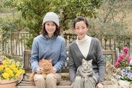 前田敦子、宮沢りえ主演「グーグーだって猫である2」に出演決定に歓喜！ 画像