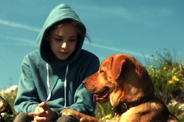 「犬の日」記念！犬だらけの冒頭映像解禁『ホワイト・ゴッド 少女と犬の狂詩曲』 画像