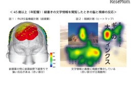 若年層は「縦書き文字」を読み飛ばす… 脳と視点から世代傾向を調査 画像