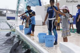 【夏休み2016】イルカやシャチと触れ合い、鴨シーのサマースクール7/25-8/3 画像