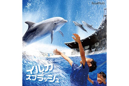 【夏休み2016】京都水族館でイルカとずぶぬれ水遊び7/23スタート 画像