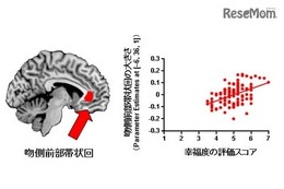 「幸せ」はトレーニングで増強できる!? 生理学研究所が発表 画像