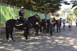 リオオリンピック開会式前のマラカナンスタジアムは警官がズラり…騎馬警官の姿も 画像