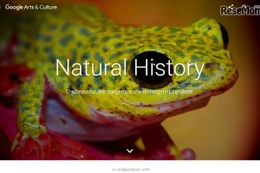 Googleバーチャルツアーに自然史コレクション追加、科博も参加 画像
