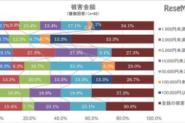 ネット詐欺の高額被害は10代が最多…13％が10万円以上 画像