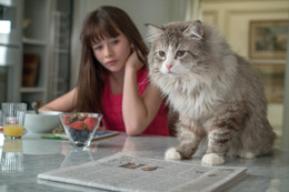 【予告編】ケヴィン・スペイシーも猫の習性には逆らえニャい!?『メン・イン・キャット』 画像