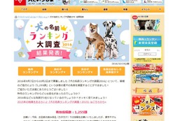 2016年「犬の名前ランキング」　上位はスイーツ系が人気 画像