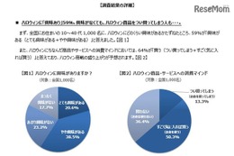 ハロウィン、首都圏3割「仮装する」  10代がゴミ捨て問題に意見 画像