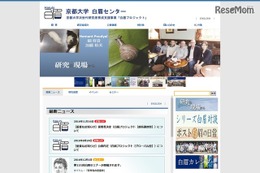 ASDを持つ小中学生、善悪は行動で判断…京大ら発表 画像