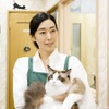 『ねこあつめの家』(C)2017　Hit-Point／『映画ねこあつめ』製作委員会