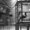 ティム・バートン監督／『ミス・ぺレグリンと奇妙なこどもたち』　（C）2016 Twentieth Century Fox