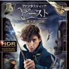 『ファンタスティック・ビーストと魔法使いの旅』4K ULTRA HD&3D&2D ブルーレイセット　(c) 2016 Warner Bros. Ent. All Rights Reserved. Harry Potter and Fantastic Beasts Publishing Rights (c) JKR.