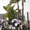 BMW G310R