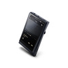 Astell&Kern AK300