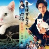 『猫侍 南の島へ行く』スリーブケース　(C)2015「続・猫侍」製作委員会