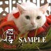 セブンネット限定「玉之丞さま特製もふもふハンドタオル」　(C)2015「続・猫侍」製作委員会