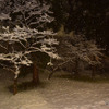 夕刻までバカっ晴れだったのに、夜9時台にふと外を見ると雪が積もっていた。新潟側ほどではないが、11月下旬でこの状態とは、三国山脈近くの雪降りパワーはなかなかのものだ。