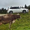 BMW X3 xDrive30e
